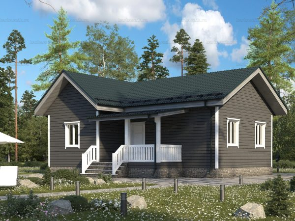 3D-проект недорого дома 8х10 для зимнего проживания под ключ